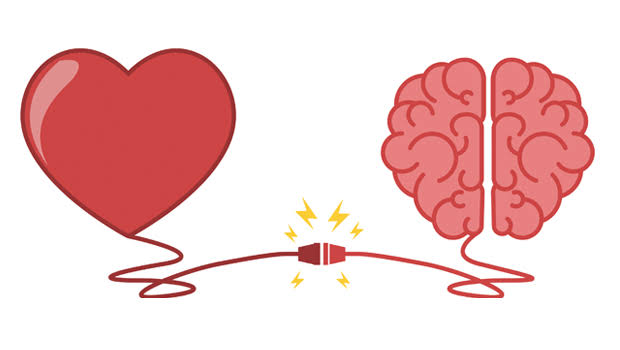 A picture of a heart and a brain connected together 