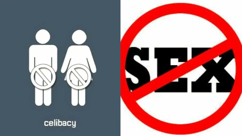 A picture combination of two design, one has a male and female structure with the "not allowed" signon their private part on a fainted blue background that has 'Celibacy" written at the bottom and the other picture is a design that has the 'not allowed' sign on top of a 'Sex' writeup on a white background